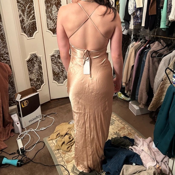 Shona Joy La Lune Lace Back Maxi Dress in Desert Rose - Picture 5 of 5